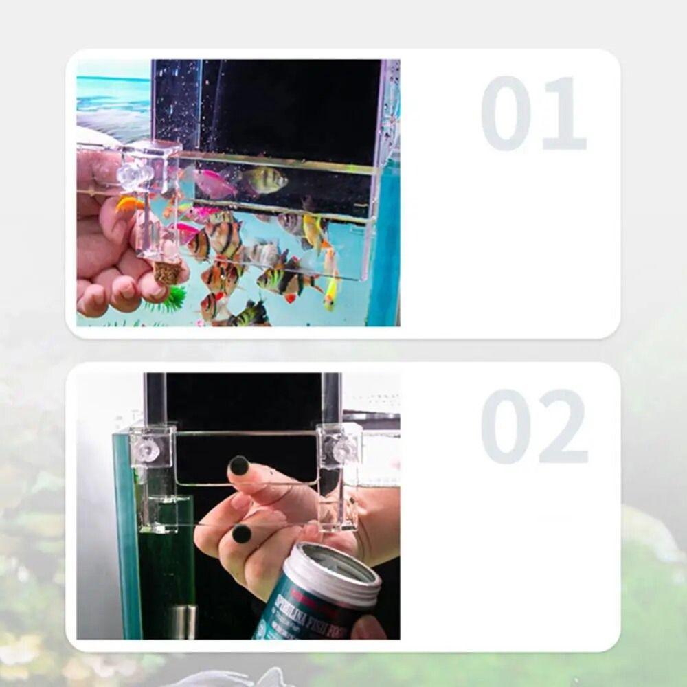 Acrylic Fish Elevator Bigger Space Fish Tower Inverted Aquarium  Home