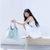 Borsa cobalto (menta)