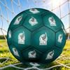 1pc Eagle Snake Soccer Ball Size 5, Suitable for Practice Matches/tournament Training,Lightweight and Durable. Mxg7023