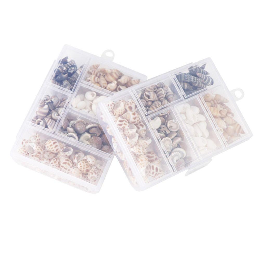 Shell Pendant Natural Sea Shells Aquarium Landscape Scallop Wind Chime Accessories Conch Fish Tank