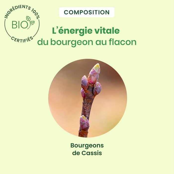 Herbalgem Cassis spray Bio 15ml