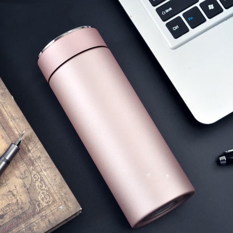 ZISHI Portable Double-Layer Glass Insulated Tea Cup