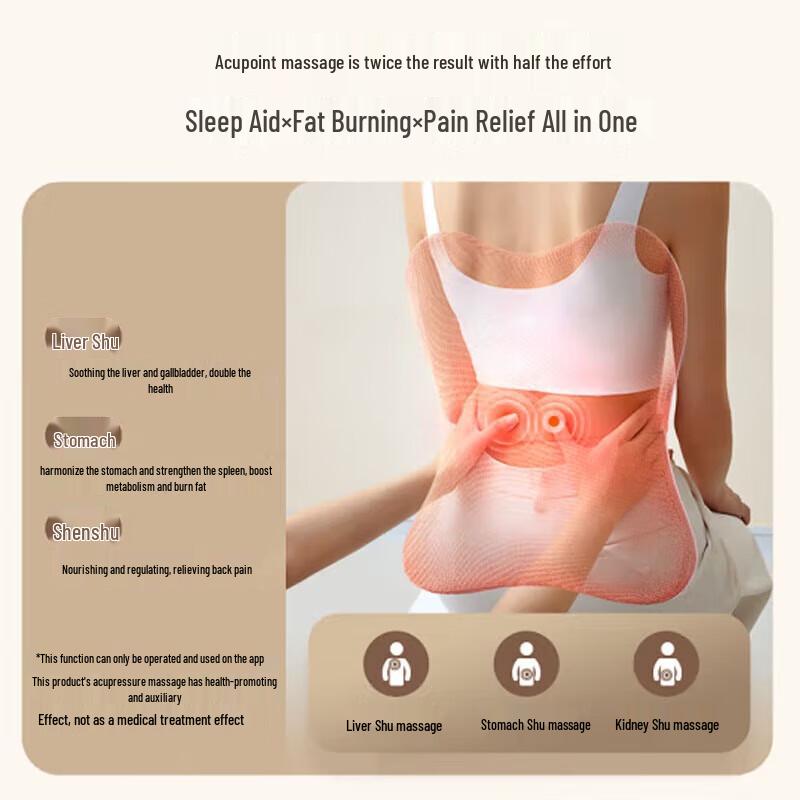 OGAWA OG2101S+ Multi-functional Massage Cushion