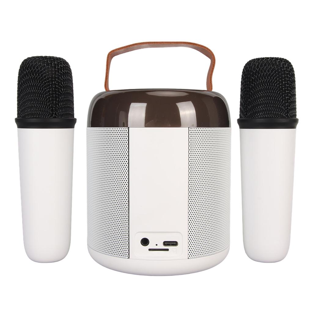 Wireless Karaoke Speakers RGB Light  5.3 Speaker with 2 Wireless Microphones Portable Karaoke Machine for Family Party