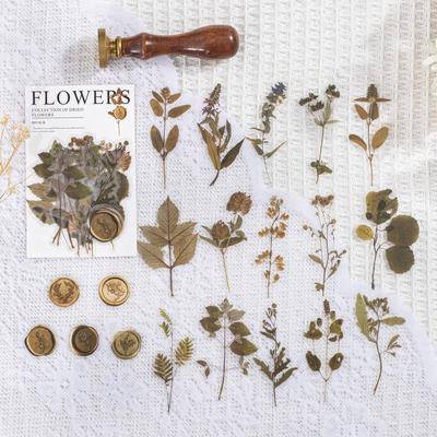40 Stück Vintage Trockenblumen Blatt Exemplar Aufkleber ästhetisch Kreativität Dekoratives Scrapbooking Material Junk Journal Zubehör