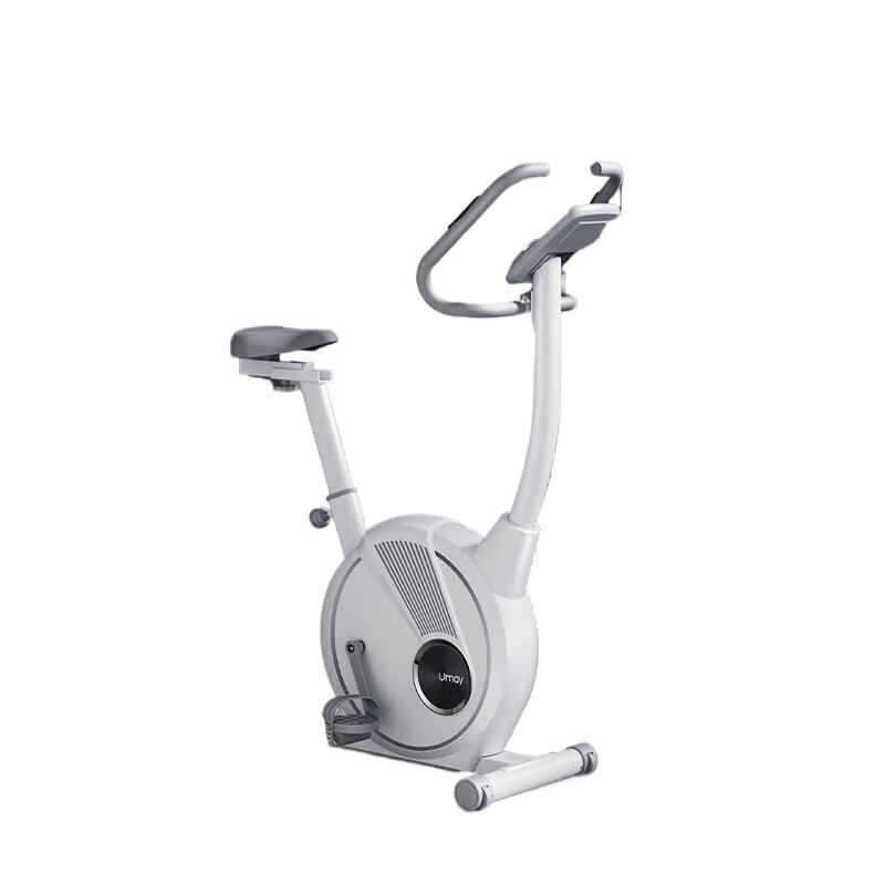 Youmei Smart Fitness Spinning Bike