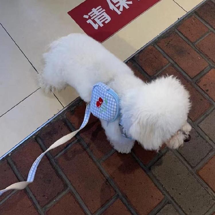Großer Hunde-Rucksackgeschirr-Rucksack mit D-Ring Mini für Träger-Rucksack-Satteltasche