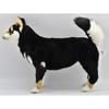 BH7242 HANSA Black Shiba 50