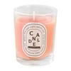 Luxurious Colorful Scented Candles - Perfect for Birthdays, Holidays, and Special Occasions