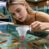Aquarium Feeding Dish Suction Cup Aquarium Feeder Container Fish Tank Feeding Bowl For Living Room Tabletop Foyer Entryway