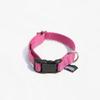 Dark Pink Basic Leash