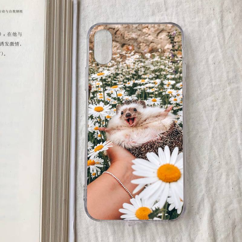 Cute Animal Hedgehog Phone Case for iPhone 11 12 13 mini pro XS MAX 8 7 6 6S Plus X 5S SE 2020 XR case