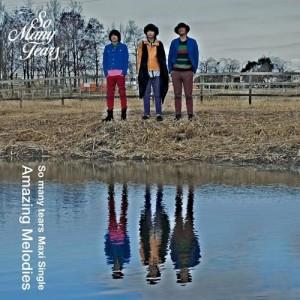 

CD SO MANY TEARS - Amazing Melodies XQIY1004 So Beautiful Re 2012 Japan ObiPop Used