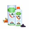 Biosash Seabuckthorn Diabo Juice 250ml | Herbal Supplement with Omega 3 6 7 9 | Blood Sugar & Metabolism Support | Energy & Immunity Booster | Or