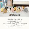 [Stream] Mochimochi Animal Mascot Keychain Plush Toy, Fluffy, Cute Animal Character Bag Charm Gift, American Shorthair Cat, Delivery Service 100