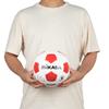 MIKASA Soccer Size Japan Football Association Certified School Recommended Internal Pressure Ball, 4, (Elementary Student), White/Red, SVC402SBC-WR,