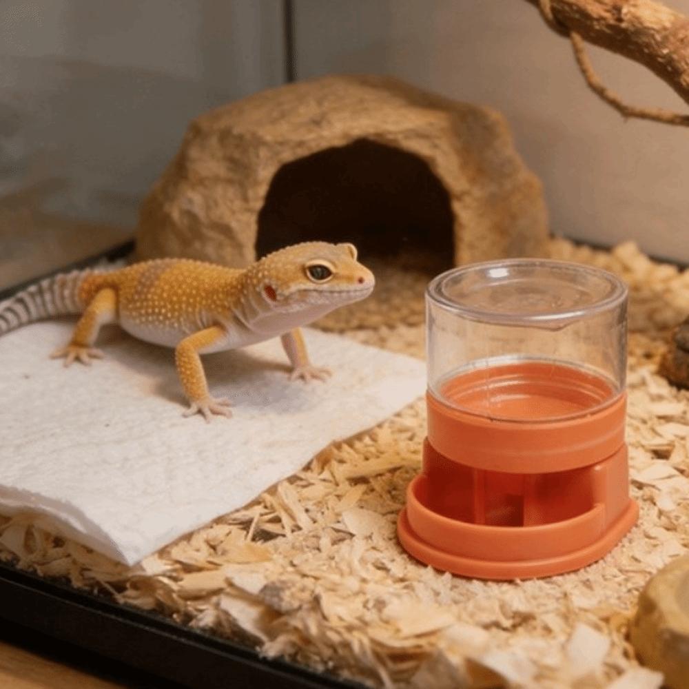 Plastic Automatic Water Dish Anti-slip Base Reptile Water Dispenser Terrarium Accessories