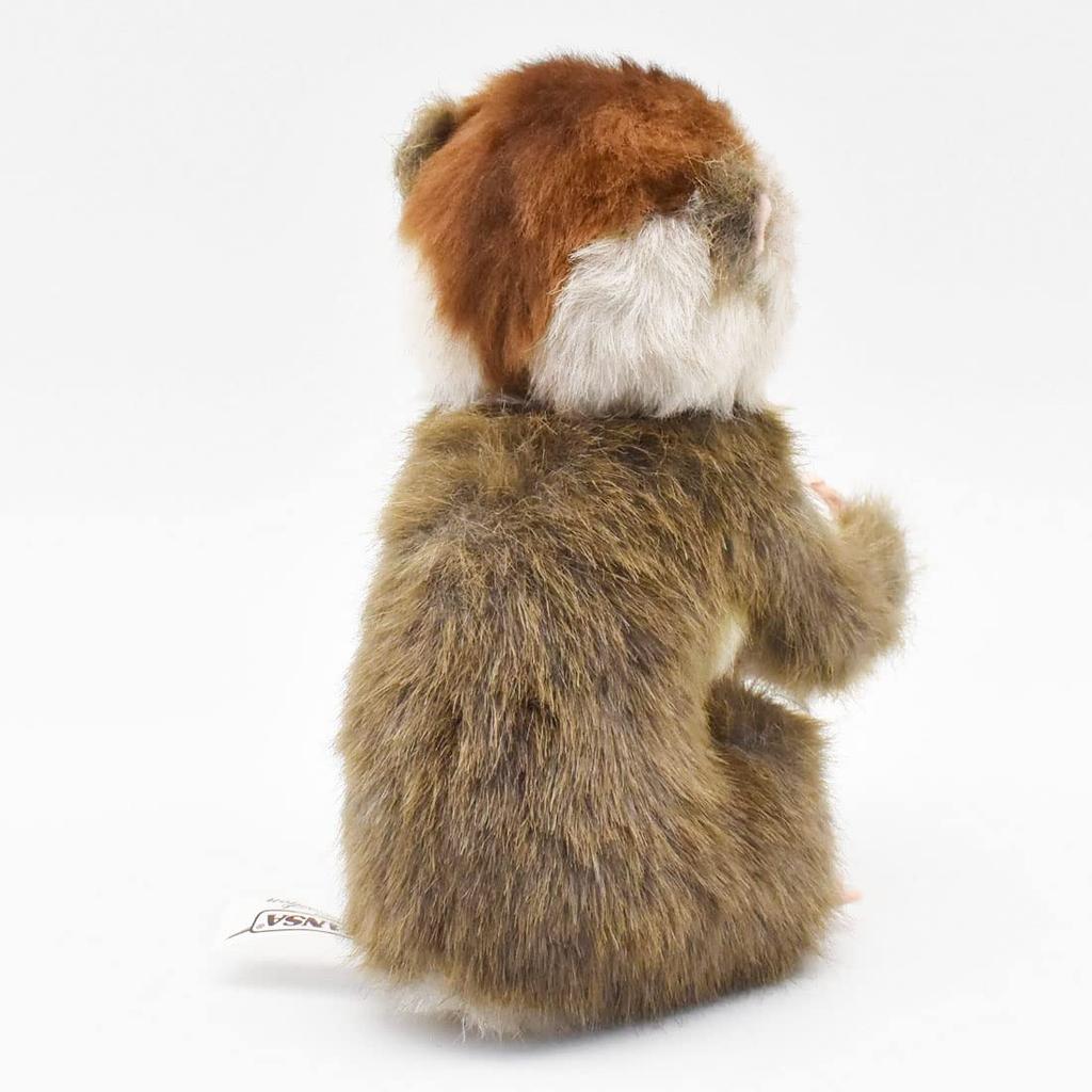 BH7043 HANSA Slow Loris 17