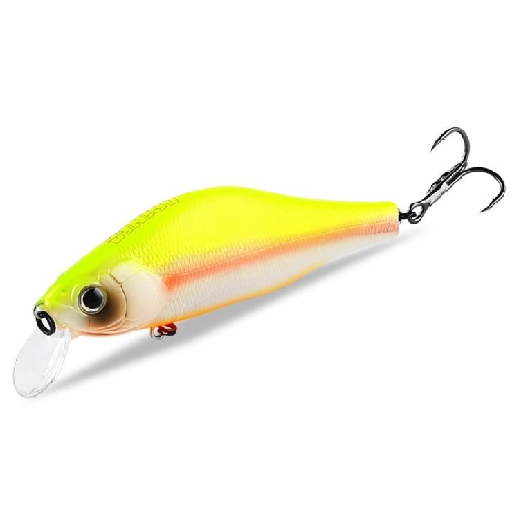 Topwater Minnow Fishing Lures Crankbait Jerk Baits 10.6cm Jerkbait for Saltwater Fishing Crankbait Swimbait