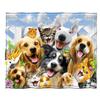 Süße Katzen-Decke für Mädchen Frauen, Leichte Weiche Fleece-Flanell-Kuscheldecke für Katzenliebhaber Sofa Couch Wohnzimmer 50x40 Zoll