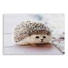 Canvas Print Cat Hedgehog Animal