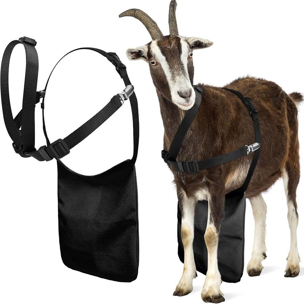 Adjustable Strap Goats Anti Breeding Apron Breathable Anti Mating Sheep Skirt  Goat Farming