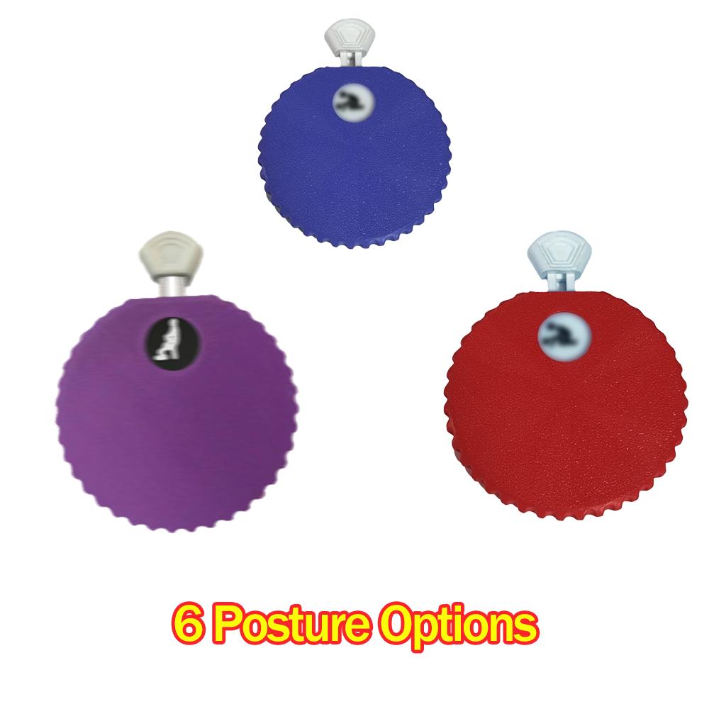 Zábavný volič poloh Spinner Sexuální hračka pro páry – Kolo náhodných poloh, Interaktivní ložnicová hra, Cestovní dárek na párty