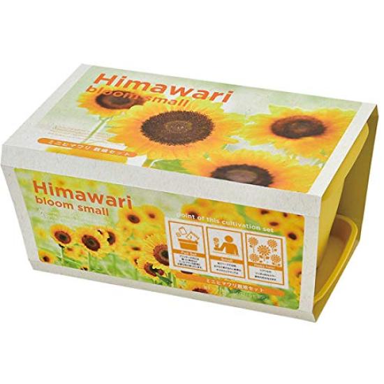 

Seishin Pottery Enjoy Planter Mini Sunflower Flower GD-93201