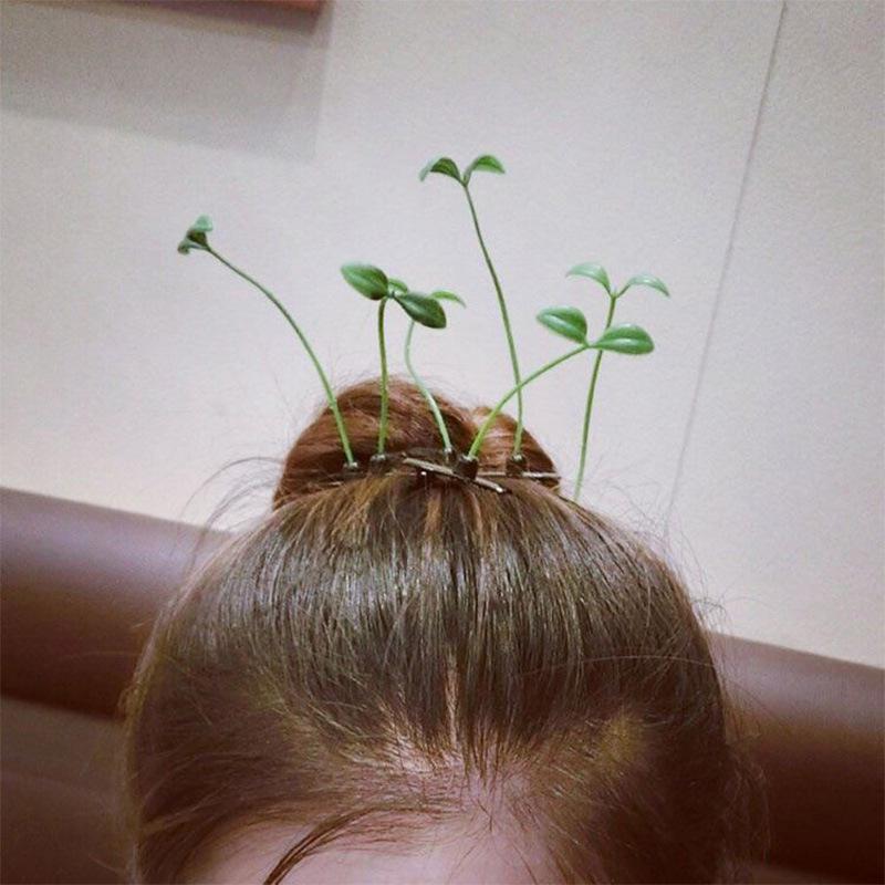Sprout Hair Clip - Cute and Funny Douyin-Inspired Grass Growing Headwear
