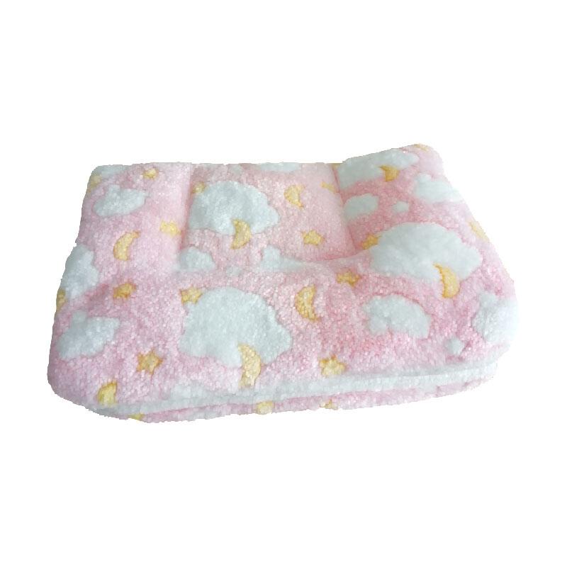 Dog Bed Thickened Dog Mat Pet Cat Soft Fleece Pad Blanket Bed Mat Cushion Home Washable Rug Keep Warm Pet Supplies Cama Perro