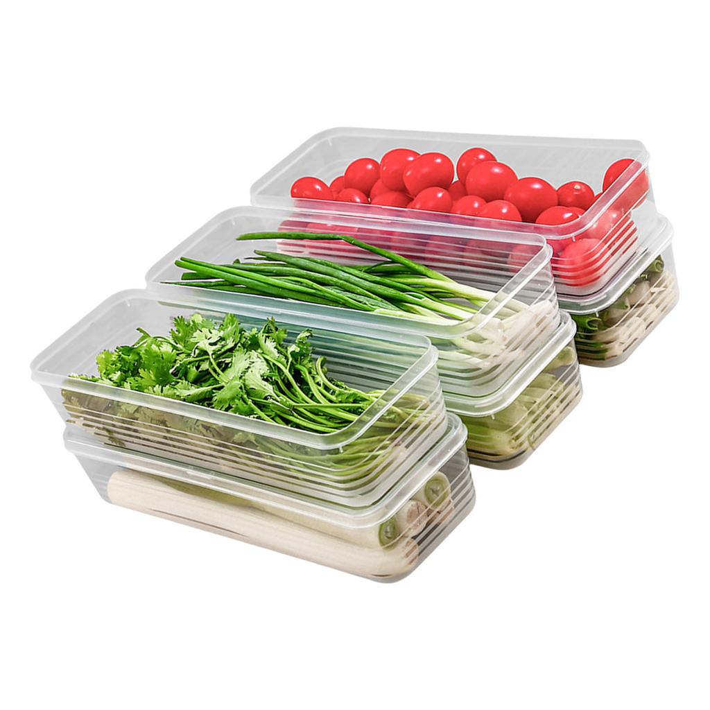 Thickened Refrigerator Storage Container for Freshing Herbs Scallions Noodles Eggs Kitchen Organizers With Airtights Lid