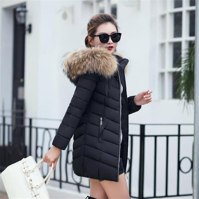 Versión coreana de invierno de la chaqueta acolchada de algodón para mujer, longitud media, corte entallado, cuello grande de pelo, chaqueta acolchada de algodón plumón