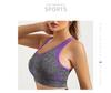 Women's Quick-Dry Shockproof Sports Bra for Running, Yoga, and Fitness - Wire-Free with Anti-Sagging and Beautiful Back Design