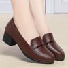 2025 Spring/Autumn Comfortable Soft Leather Chunky Heel Shoes for Women - Versatile for Middle-Aged and Elderly