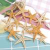 100Pcs Natural Starfish Seashell Beach Craft Natural Sea Stars DIY Beach Wedding Decoration Crafts Home Decor 1-5Cm