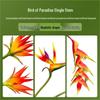 Phoenix Bird of Paradise 5-Head Green Plant Simulation - Large Decorative Branch for Home
