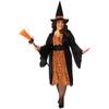 Bristol Novelty Womens/Ladies Witch Halloween Costume