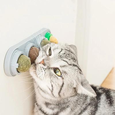 4-in-1 Roterende Kattenkruid Zilverrank Bal Tandenpoetsen Acne Preventie Spijsvertering Gezondheid Muur Plakkerig Speelgoed Eetbaar Veilig Materiaal