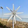 Vânzare Fierbinte Sistem Hibrid Panou Solar și Turbină Eoliană Generator Eolian cu Ax Vertical Solar pentru Uz Casnic Windkraftanlage