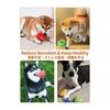 SCHITEC Dog Toy, Sound Stuffed Toy [8-piece Set, Toy Size: 7.7cm*7.4cm*6.8cm] Ball Toy, Pet Supplies, Relieve Lack of Exercise and Stress, Clean,