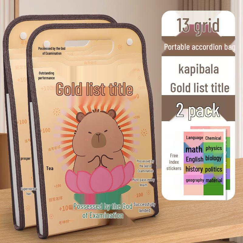 Accordion Bag 5250: Junior High Student Handheld Storage Folder