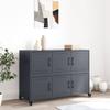VidaXL Buffet, Cabinet with Door, Cupboard with Storage, Living Room Organizer, Home Interior, 846742