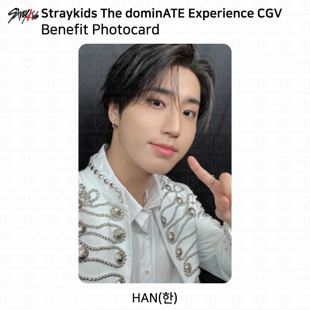 Stray Kids Die DominATE Experience CGV Vorteil Fotokarte SKZ KPOP K-POP
