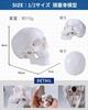KIYOMARU Palm-Sized Mini Skull Model, Human Body Model, Skull Model, Supervised by a Physical Therapist, 1/2 Size, 2 Parts