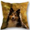 New Custom Dog Sheltie Pillowcase Cotton Linen Fabric Square Zipper Pillowcase 45X45cm Wedding Decorative Pillow Cover