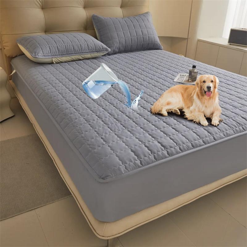 2026 Waterproof Bed Thicken Cotton Anti-bacterial Mattress Cover Anti Water Bed MattressProtector Skin-friendly Bed Cover with Elastic