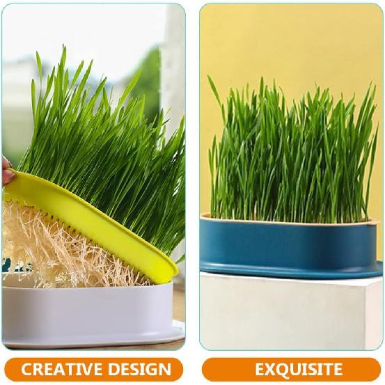 

4 шт. Кошачье растение Удобная посадочная коробка Домашняя коробка для кошачьей травы Питомник Кошачье растение (4 цвета)