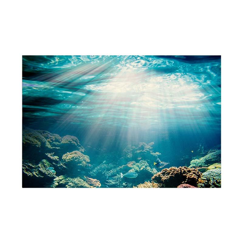 

Полиэстеровый фон с изображением подводного пейзажа «Океан, солнечный свет», универсальный декор комнаты для всех сезонов, настенный баннер для фотобудок, вечеринок и праздничных украшений 150*100cm / 5*3ft