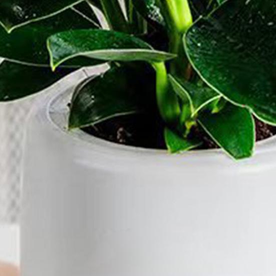 Self-absorbing Flowerpot with Cotton Rope Planter Double-layer Breathable Structure And Water Storage Tank Flower Pot for Indoor Plants
