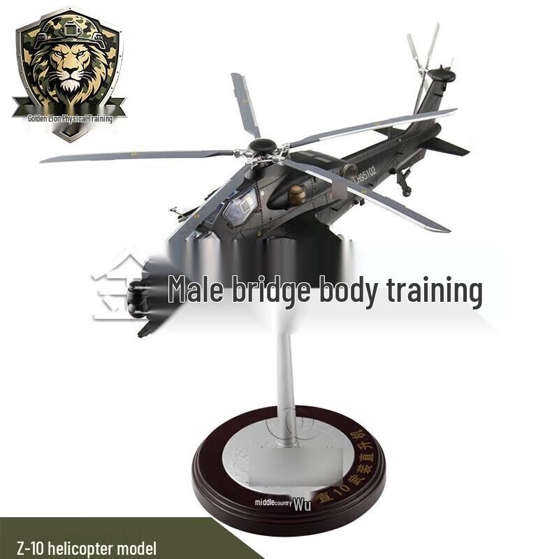 Golden Lion Z-10 Attack Helicopter Model 1:24 Scale